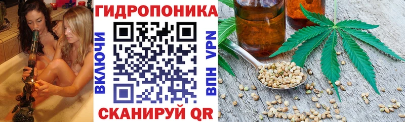Шишки марихуана Amnesia  блэк спрут зеркало  Алатырь  даркнет сайт 